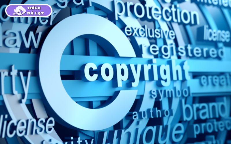 Chính sách bản quyền nội dung của Thích Đà Lạt 7 Chính sách bản quyền nội dung