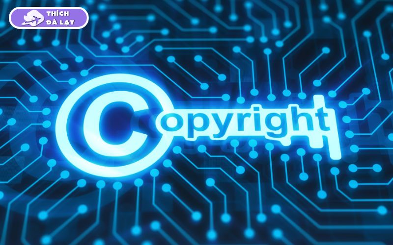 Chính sách bản quyền nội dung của Thích Đà Lạt 9 Chính sách bản quyền nội dung