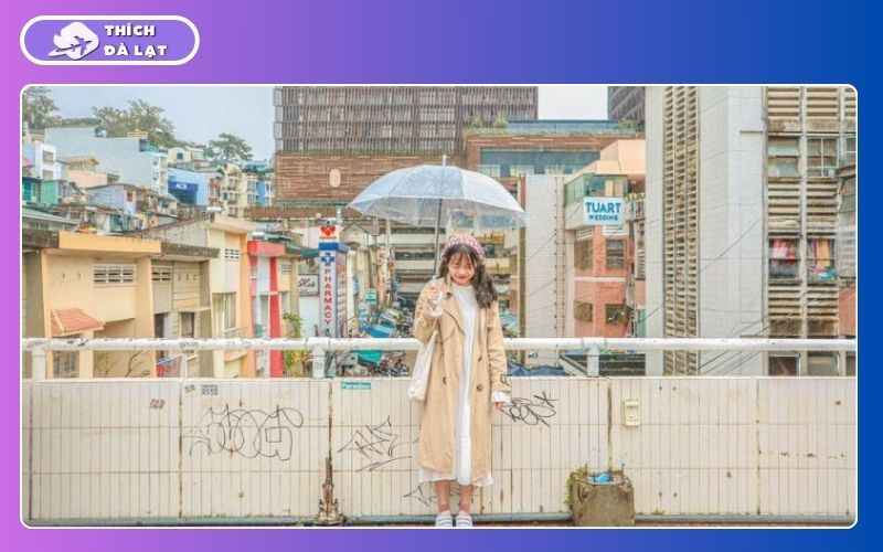 Kinh nghiệm du lịch Đà Lạt 3 Ngày 3 Đêm tự túc giá rẻ nhất 35 du lịch đà lạt 3 ngày 3 đêm tự túc
