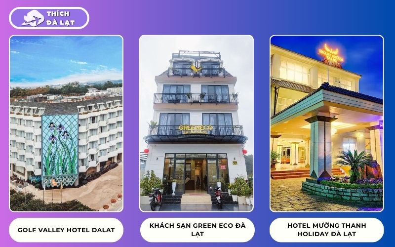 Kinh nghiệm du lịch Đà Lạt 3 Ngày 3 Đêm tự túc giá rẻ nhất 22 du lịch đà lạt 3 ngày 3 đêm tự túc