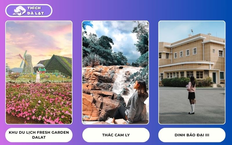 Kinh nghiệm du lịch Đà Lạt 3 Ngày 3 Đêm tự túc giá rẻ nhất 26 du lịch đà lạt 3 ngày 3 đêm tự túc