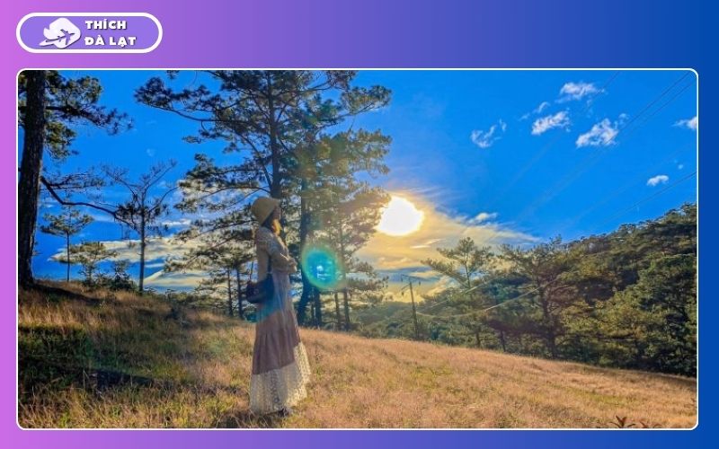 Kinh nghiệm du lịch Đà Lạt tự túc 2 Ngày 1 Đêm đầy đủ nhất 25 du lịch đà lạt tự túc 2 ngày 1 đêm