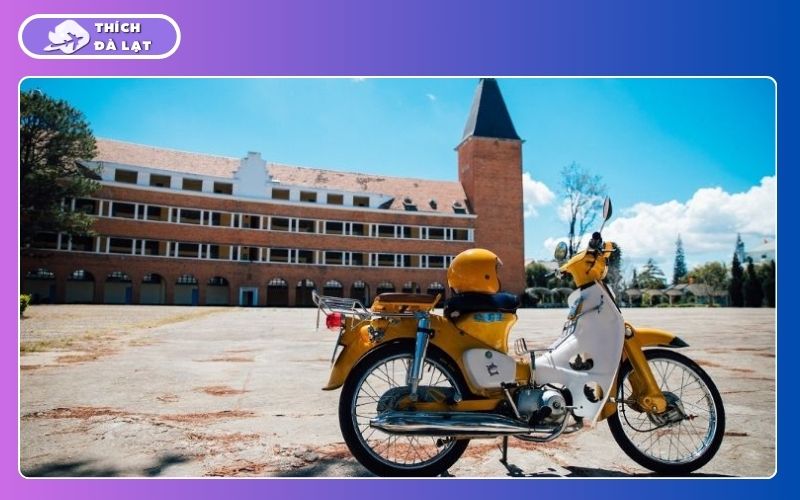 Kinh nghiệm du lịch Đà Lạt tự túc 2 Ngày 1 Đêm đầy đủ nhất 16 du lịch đà lạt tự túc 2 ngày 1 đêm