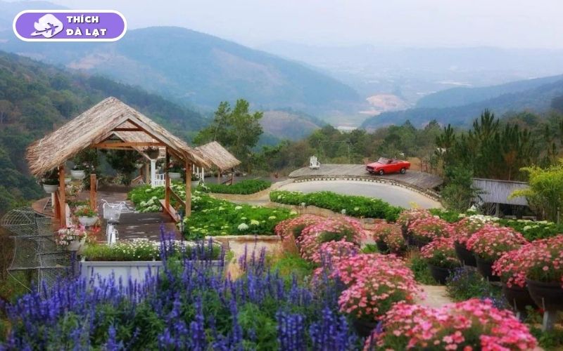 Giới thiệu về website Thích Đà Lạt 9 giới thiệu về thích đà lạt