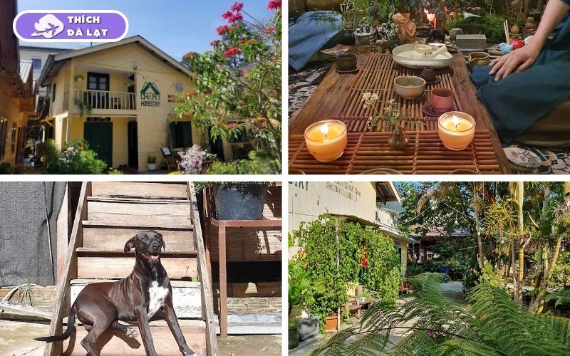 Top 20+ homestay Đà Lạt view đẹp, giá tốt và vị trí gần trung tâm 36 homestay đà lạt