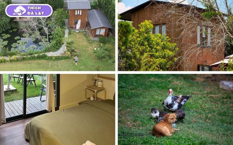 Top 20+ homestay Đà Lạt view đẹp, giá tốt và vị trí gần trung tâm 37 homestay đà lạt