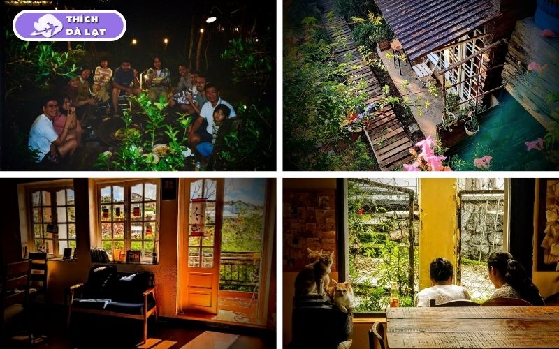 Top 20+ homestay Đà Lạt view đẹp, giá tốt và vị trí gần trung tâm 39 homestay đà lạt