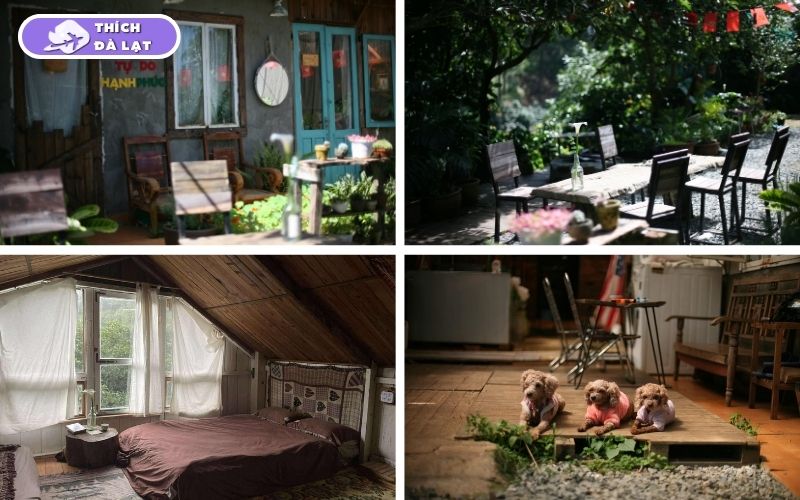 Top 20+ homestay Đà Lạt view đẹp, giá tốt và vị trí gần trung tâm 44 homestay đà lạt
