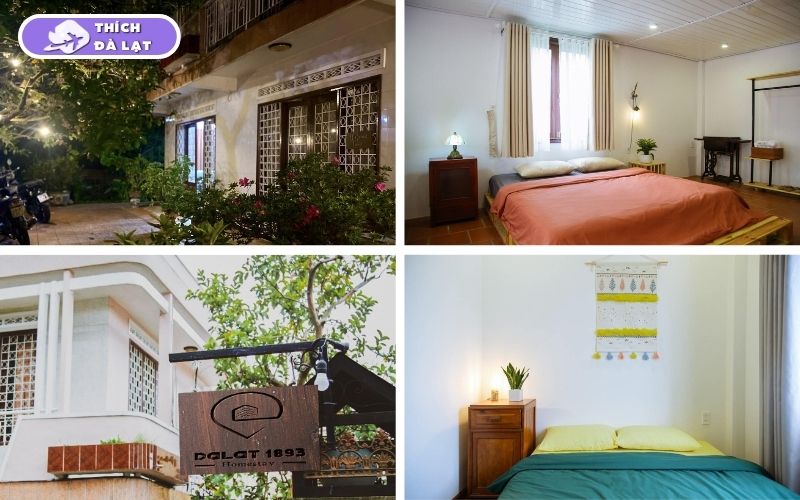 Top 20+ homestay Đà Lạt view đẹp, giá tốt và vị trí gần trung tâm 32 homestay đà lạt