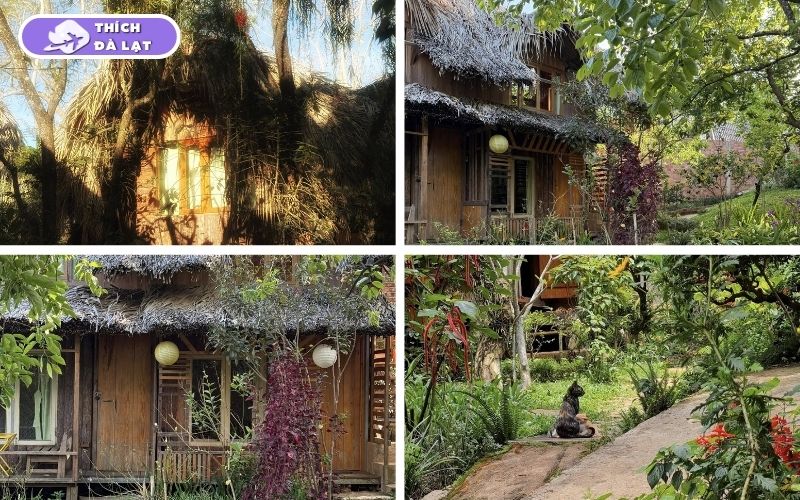 Top 20+ homestay Đà Lạt view đẹp, giá tốt và vị trí gần trung tâm 33 homestay đà lạt