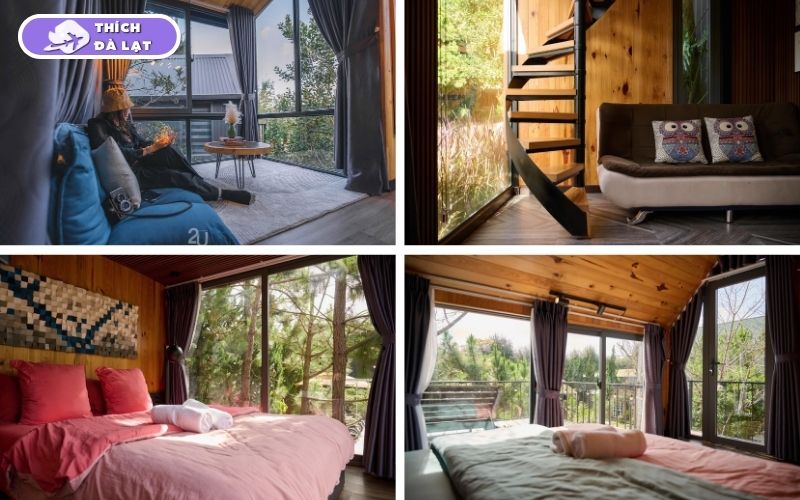 In The Pines Homestay Đà Lạt điểm dừng chân sống chậm an yên 11 in the pines homestay đà lạt