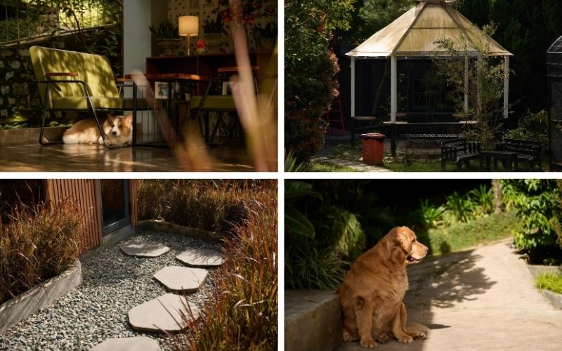 In The Pines Homestay Đà Lạt điểm dừng chân sống chậm an yên 12 in the pines homestay đà lạt