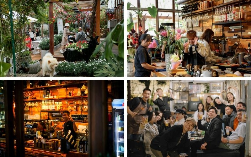 In The Pines Homestay Đà Lạt điểm dừng chân sống chậm an yên 13 in the pines homestay đà lạt