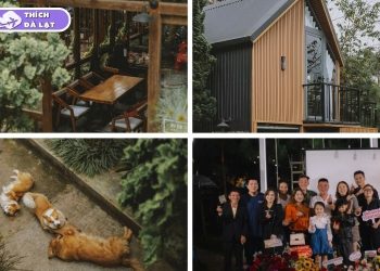 in the pines homestay đà lạt