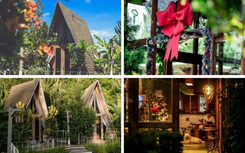 In The Pines Homestay Đà Lạt điểm dừng chân sống chậm an yên 15 in the pines homestay đà lạt