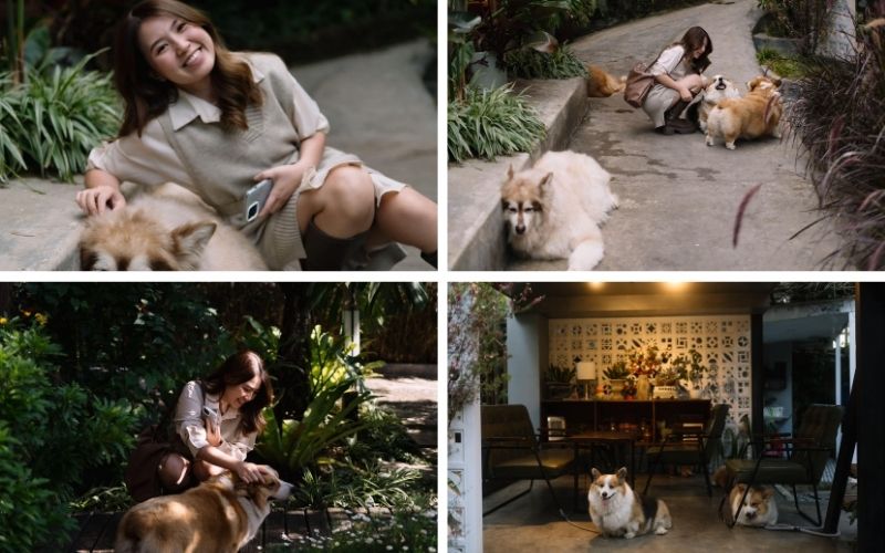 In The Pines Homestay Đà Lạt điểm dừng chân sống chậm an yên 17 in the pines homestay đà lạt