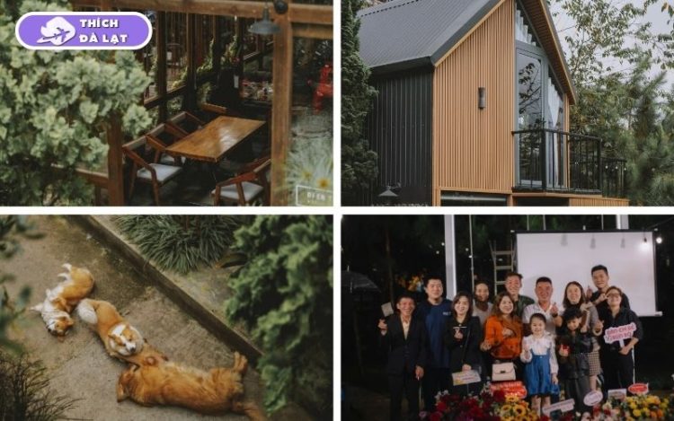 in the pines homestay đà lạt