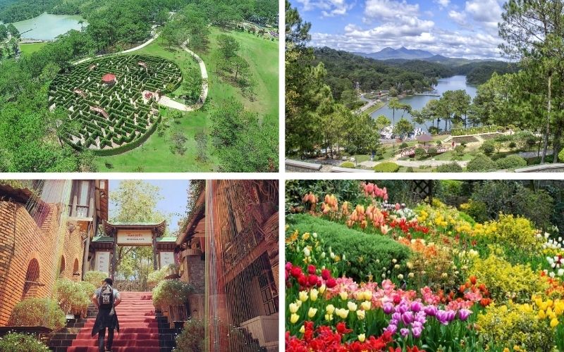 In The Pines Homestay Đà Lạt điểm dừng chân sống chậm an yên 18 in the pines homestay đà lạt