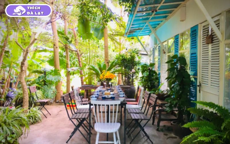 Lalaland Homestay Đà Lạt homestay đẹp cho nhóm bạn và cặp đôi 13 lalaland homestay đà lạt