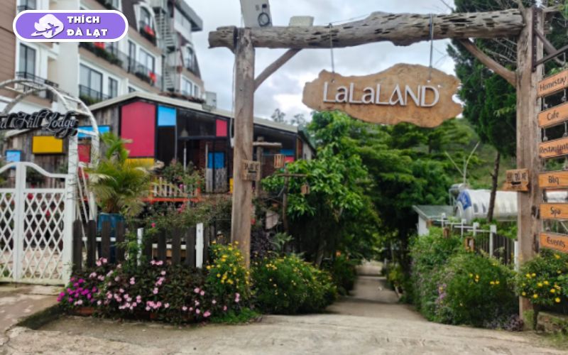 Lalaland Homestay Đà Lạt homestay đẹp cho nhóm bạn và cặp đôi 17 lalaland homestay đà lạt