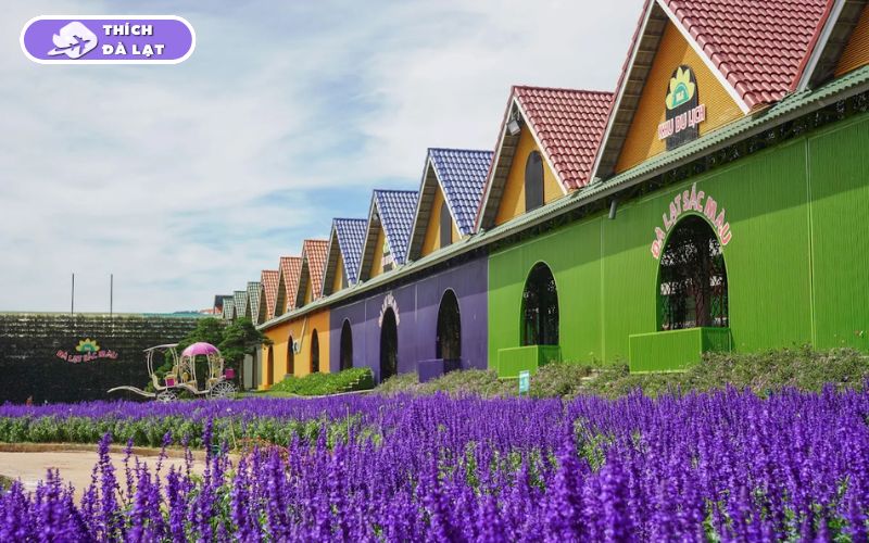 Làng Hoa Vạn Thành - Điểm Check-in Hot không thể bỏ lỡ 12 làng hoa vạn thành