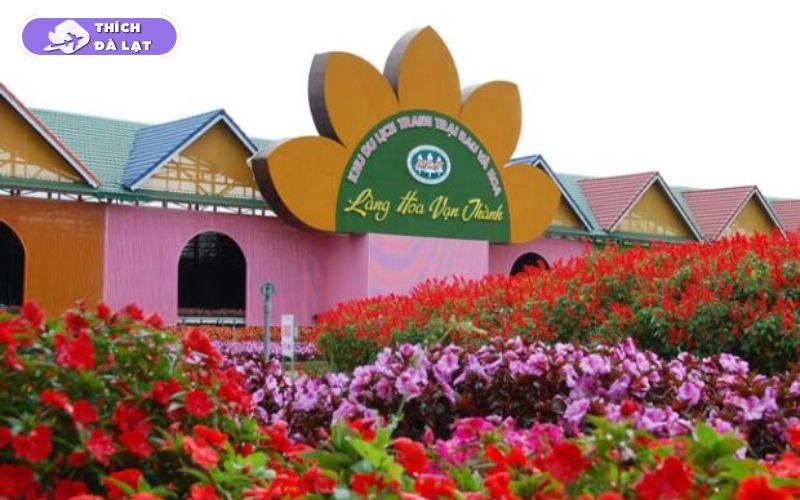 Làng Hoa Vạn Thành - Điểm Check-in Hot không thể bỏ lỡ 21 làng hoa vạn thành