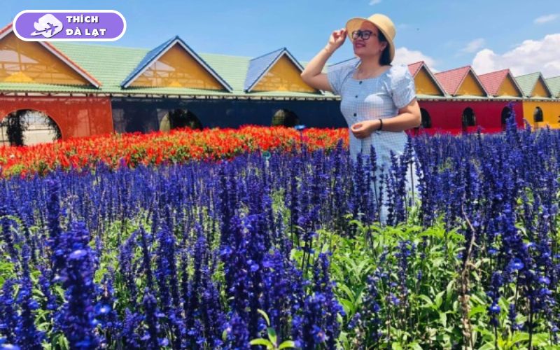 Làng Hoa Vạn Thành - Điểm Check-in Hot không thể bỏ lỡ 14 làng hoa vạn thành