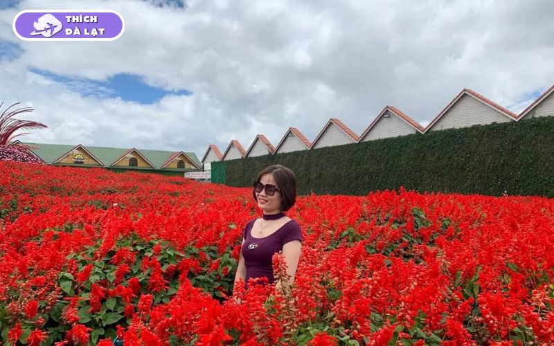 Làng Hoa Vạn Thành - Điểm Check-in Hot không thể bỏ lỡ 19 làng hoa vạn thành