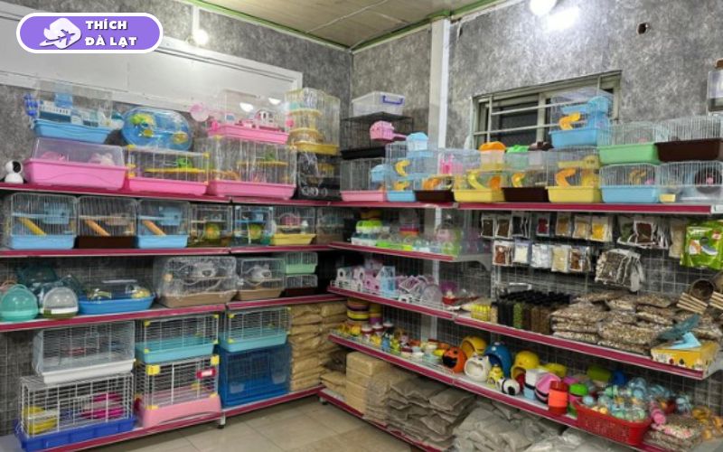 Top 7+ shop thú cưng Đà Lạt nổi tiếng, được nhiều người tin chọn 11 shop thú cưng đà lạt