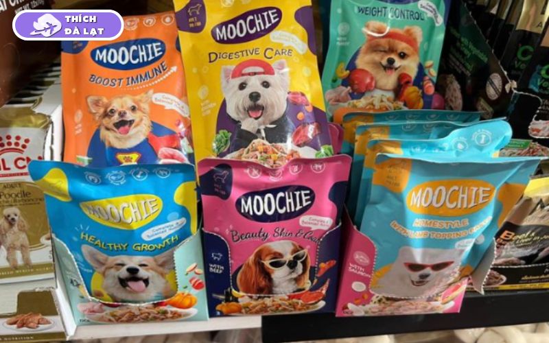 Top 7+ shop thú cưng Đà Lạt nổi tiếng, được nhiều người tin chọn 12 shop thú cưng đà lạt