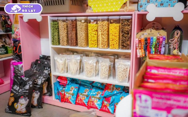 Top 7+ shop thú cưng Đà Lạt nổi tiếng, được nhiều người tin chọn 13 shop thú cưng đà lạt
