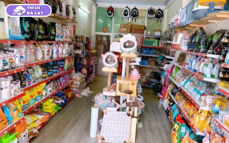 Top 7+ shop thú cưng Đà Lạt nổi tiếng, được nhiều người tin chọn 14 shop thú cưng đà lạt