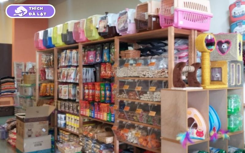 Top 7+ shop thú cưng Đà Lạt nổi tiếng, được nhiều người tin chọn 15 shop thú cưng đà lạt
