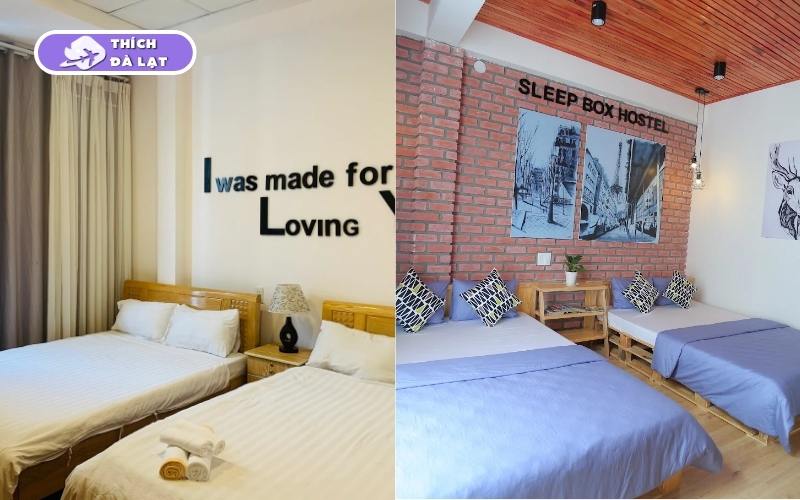 Sleep box Đà Lạt - Review chi tiết không gian, tiện nghi 10 sleep box đà lạt
