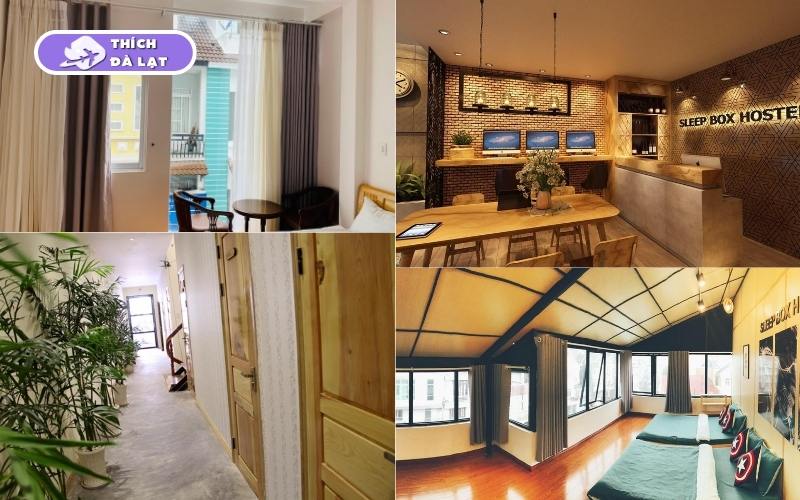 Sleep box Đà Lạt - Review chi tiết không gian, tiện nghi 11 sleep box đà lạt