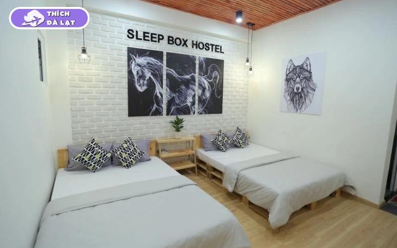 Sleep box Đà Lạt - Review chi tiết không gian, tiện nghi 14 sleep box đà lạt