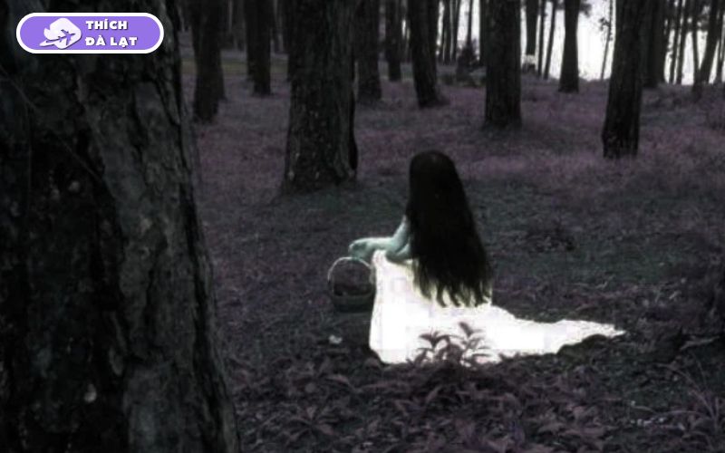Tại sao Đà Lạt nhiều ma? Bí ẩn đằng sau các câu chuyện ma Đà Lạt 15 tại sao đà lạt nhiều ma