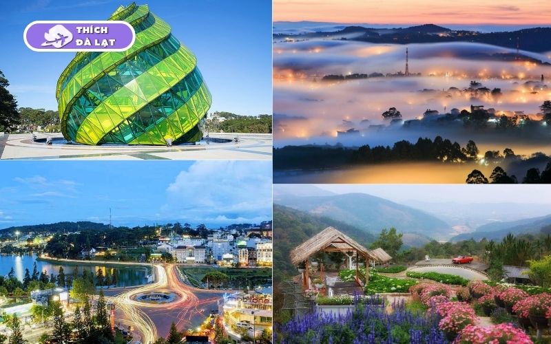 TOP 5 tour Đà Lạt 3 ngày 3 đêm chất lượng bạn nên tham khảo 7 tour đà lạt 3 ngày 3 đêm