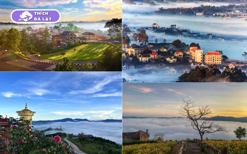 TOP 5 tour Đà Lạt 3 ngày 3 đêm chất lượng bạn nên tham khảo 8 tour đà lạt 3 ngày 3 đêm