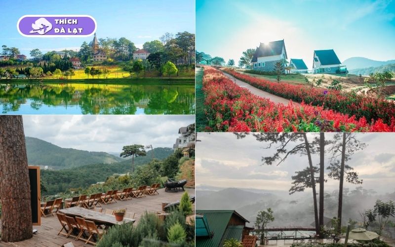 TOP 5 tour Đà Lạt 3 ngày 3 đêm chất lượng bạn nên tham khảo 10 tour đà lạt 3 ngày 3 đêm