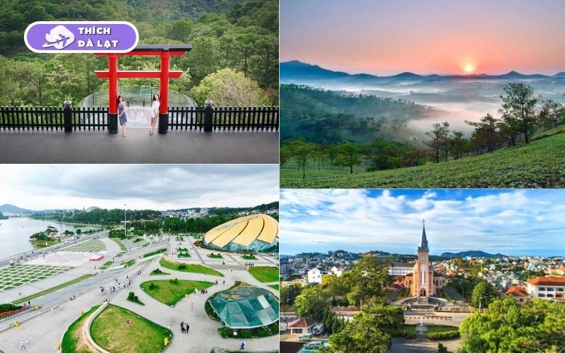 TOP 5 tour Đà Lạt 3 ngày 3 đêm chất lượng bạn nên tham khảo 11 tour đà lạt 3 ngày 3 đêm