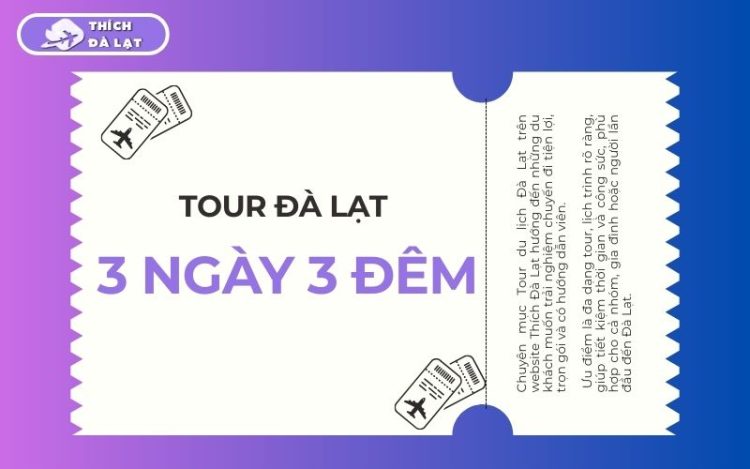 TOP 5 tour Đà Lạt 3 ngày 3 đêm chất lượng bạn nên tham khảo 6 tour đà lạt 3 ngày 3 đêm