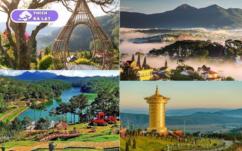 Top các tour Đà Lạt 5 ngày 4 đêm - Gợi ý lý tưởng cho bạn 7 tour đà lạt 5 ngày 4 đêm
