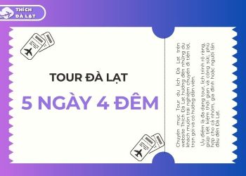 Top các tour Đà Lạt 5 ngày 4 đêm - Gợi ý lý tưởng cho bạn 16 tour đà lạt 5 ngày 4 đêm