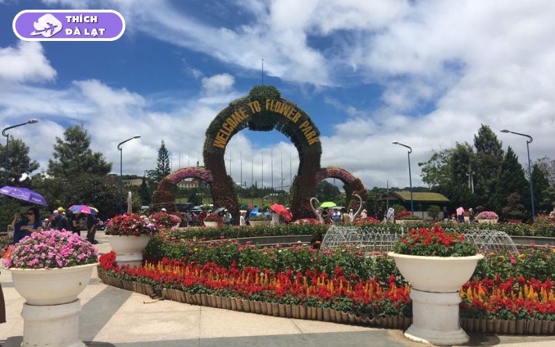 Vườn Hoa Thành Phố Đà Lạt review kinh nghiệm từ A đến Z 13 vườn hoa thành phố đà lạt
