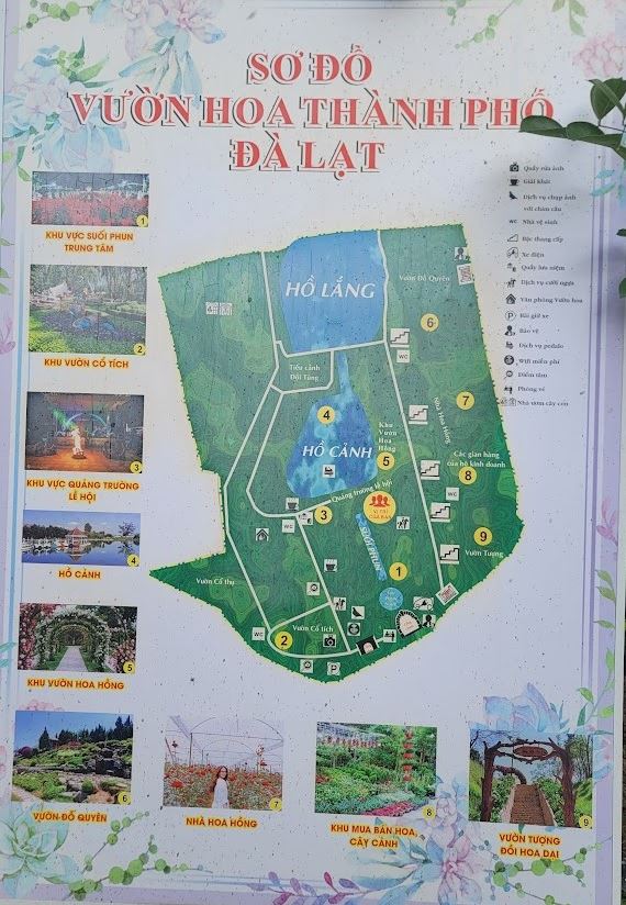 Vườn Hoa Thành Phố Đà Lạt review kinh nghiệm từ A đến Z 14 vườn hoa thành phố đà lạt