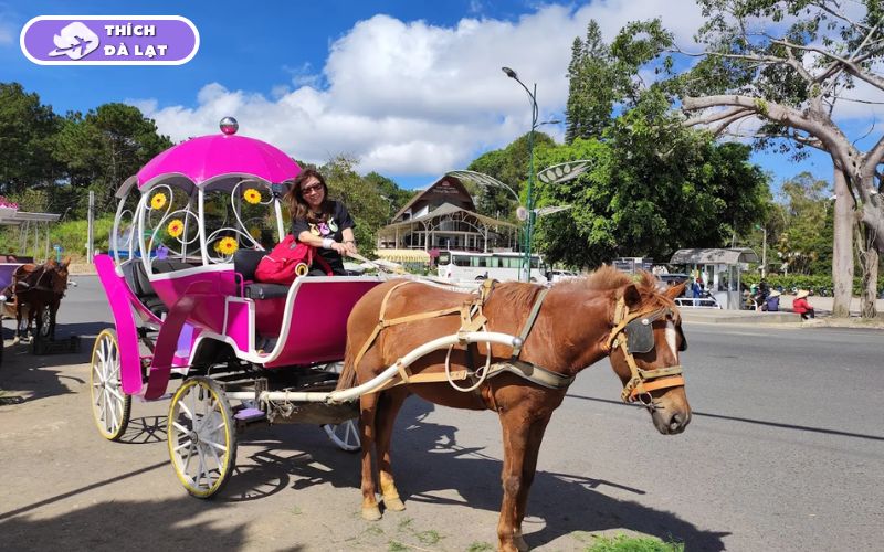 Vườn Hoa Thành Phố Đà Lạt review kinh nghiệm từ A đến Z 16 vườn hoa thành phố đà lạt