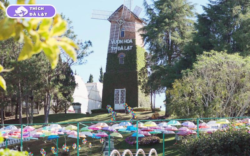 Vườn Hoa Thành Phố Đà Lạt review kinh nghiệm từ A đến Z 19 vườn hoa thành phố đà lạt