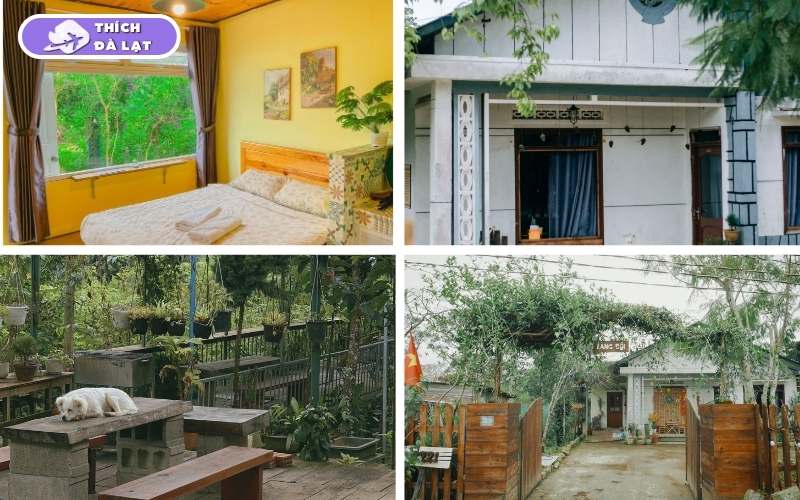 Top 10+ bungalow Đà Lạt cực lãng mạn cho kỳ nghỉ trọn vẹn 15 bungalow đà lạt