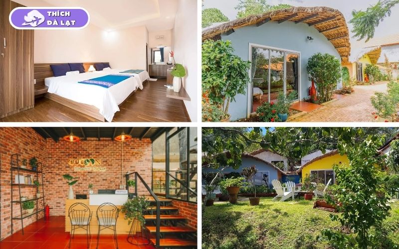 Top 10+ bungalow Đà Lạt cực lãng mạn cho kỳ nghỉ trọn vẹn 18 bungalow đà lạt
